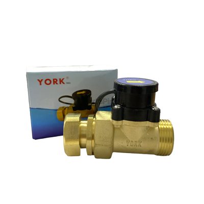Otomatis Pompa Dorong Flow Switch York 1 x 1 Inch