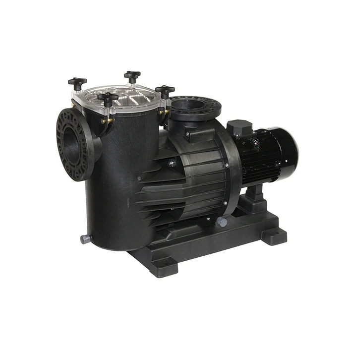 Mesin Pompa Air Kolam Renang DAB Europro 750T